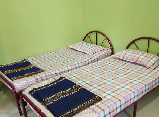 Davallia Homestay